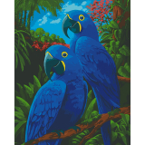 Modré Ary 40x50cm, Art Craft - vypnuté plátno na rám
