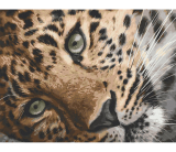 Leopard 40x50cm, Art Craft - vypnuté plátno na rám