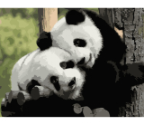Pandy Yin Yang 40x50cm, Art Craft - vypnuté plátno na rám