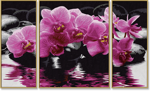 Orchideje (50 x 80 cm) Schipper