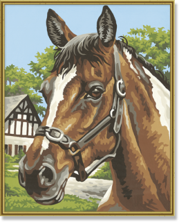 Portrét koně (24 x 30 cm) Schipper